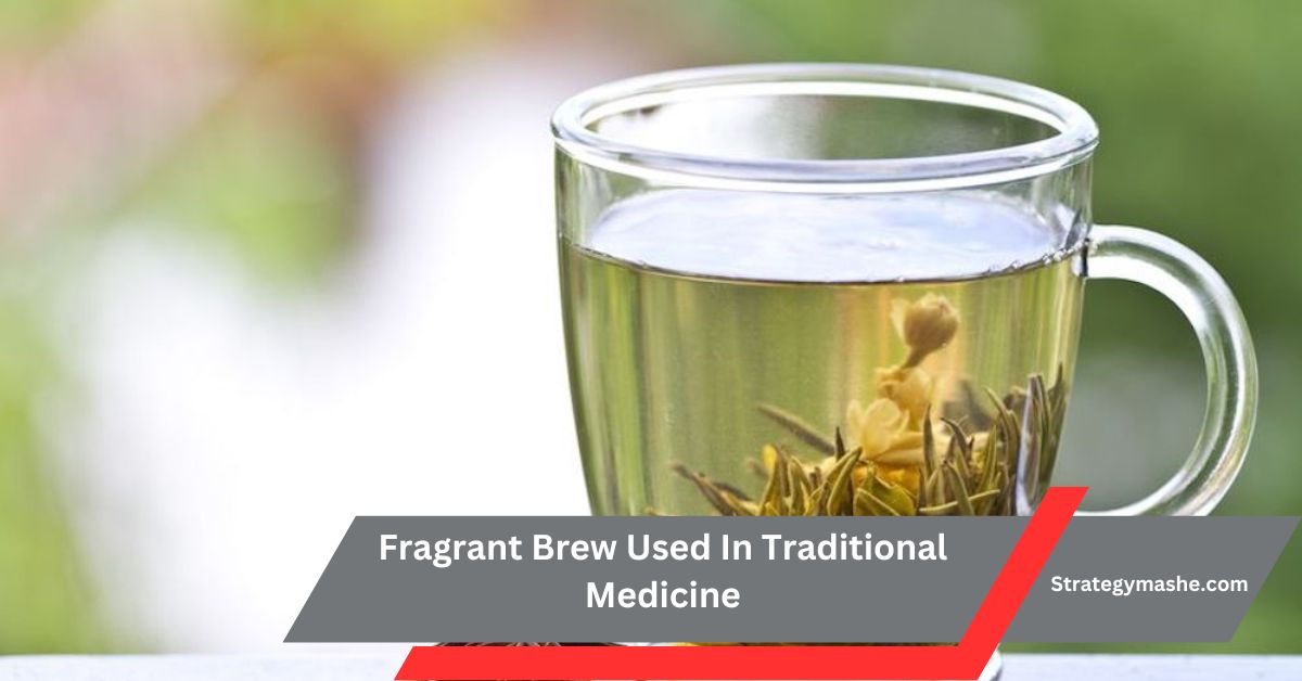 Fragrant Brew Used In Traditional Medicine – Exploring Nature’s Healing Elixirs!