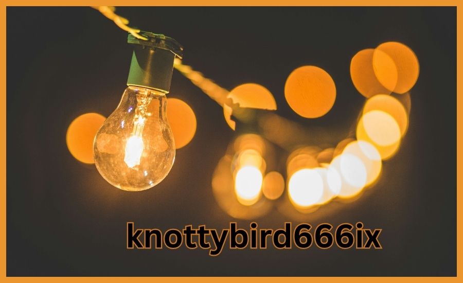 What challenges does knottybird666ix face in maintaining its digital presence?