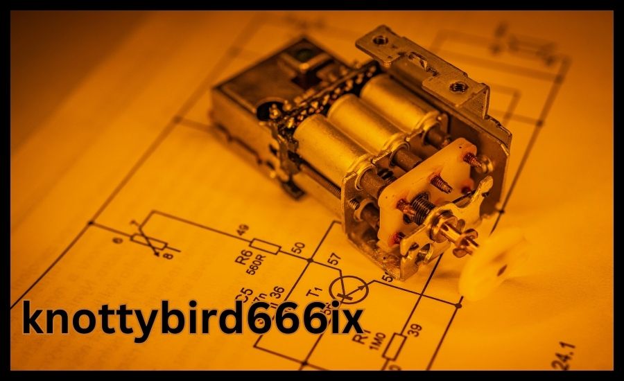 What are the origins of knottybird666ix, and how did it become a digital phenomenon?