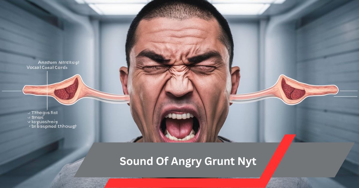 Sound Of Angry Grunt Nyt – Here To Know!