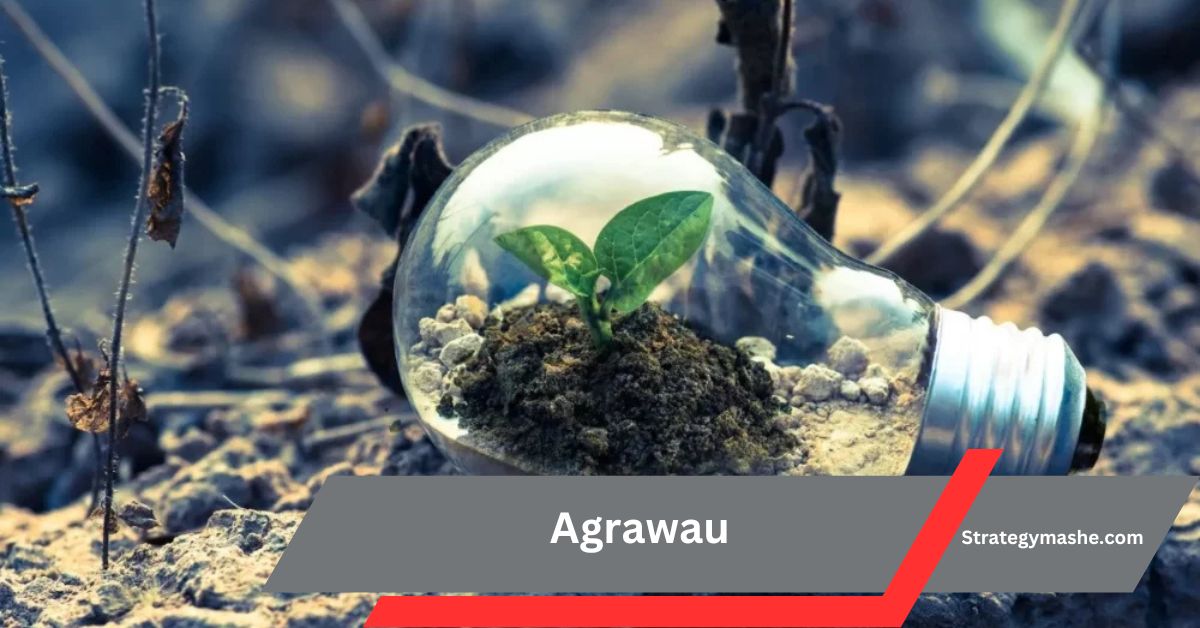 Agrawau – A Complete Overview!